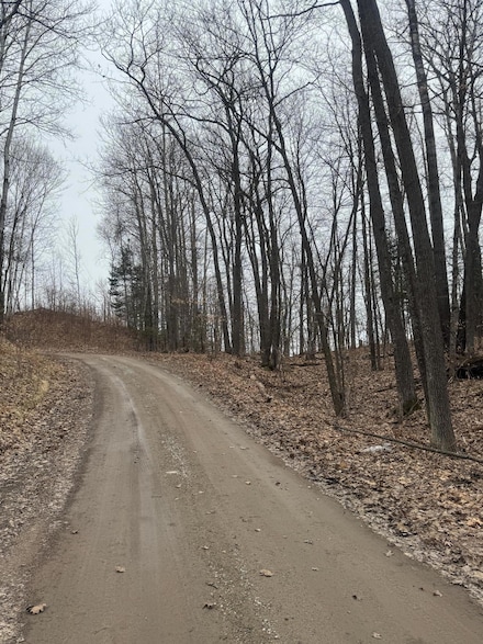 TBD Maple Valley Ln, Deer Lake, MN 55721
