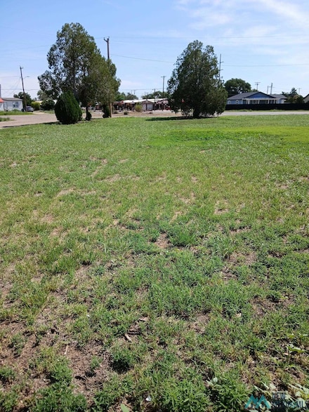 413 N Main Ave, Portales, NM 88130