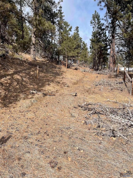 tbd Hwy 40, Keystone, SD 57751