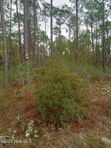 Lot 61 W South Shore Dr, Boiling Spring Lakes, NC 28461