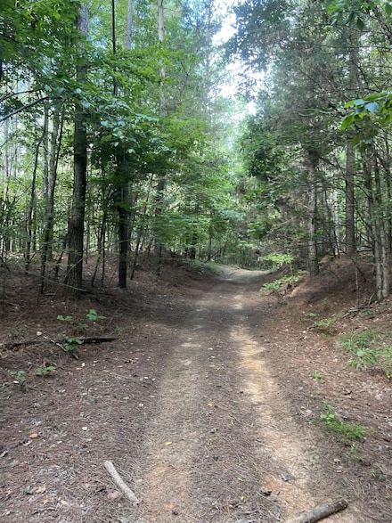 0 County Road 437, Ripley, MS 38603