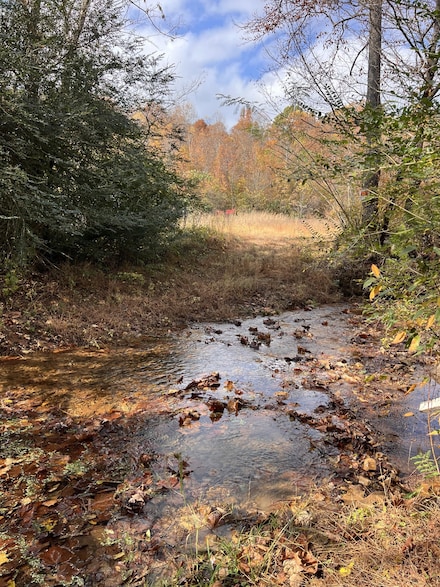 2077 Deer Creek Rd, Linden, TN 37096