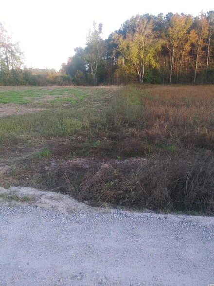 Lot 1 Millers Rd Unit Davis Lane, Mullins, SC 29574