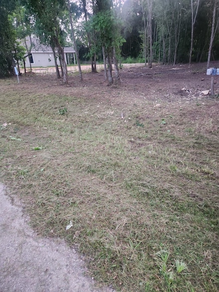 01 Railroad Ave, Shepherd, TX 77371