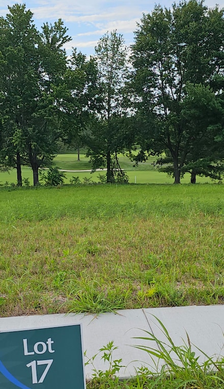Lot.17 Highland Spring Vintage Pointe, Springfield, MO 65809