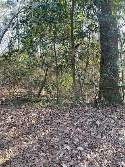 0 Cherokee Ln, Eufaula, AL 36027