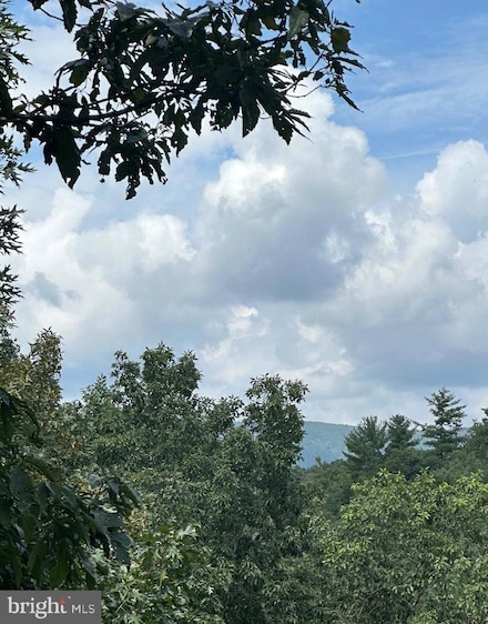 20 E Walls Ridge Rd, Basye, VA 22810