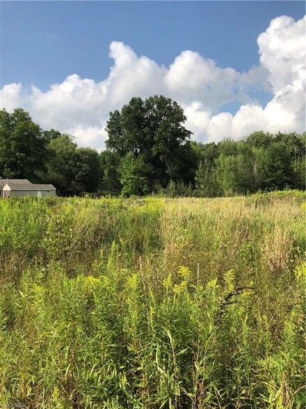 0 Cook Rd Unit 4031406, Rootstown, OH 44272