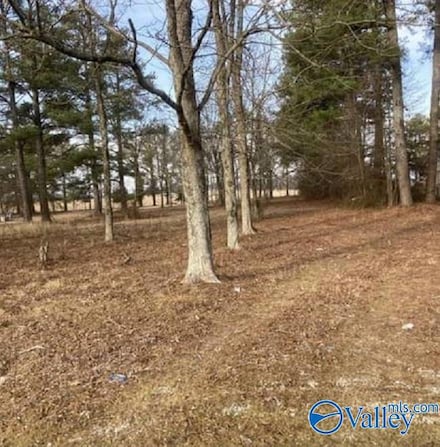 Lot 9 Lee Hwy, Athens, AL 35611