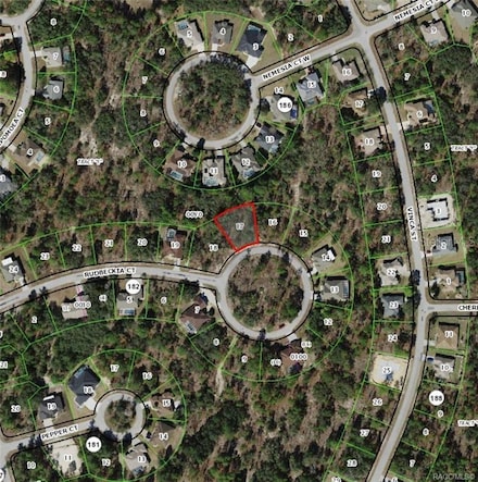 17 Rudbeckia Ct, Sugarmill Woods, FL 34446