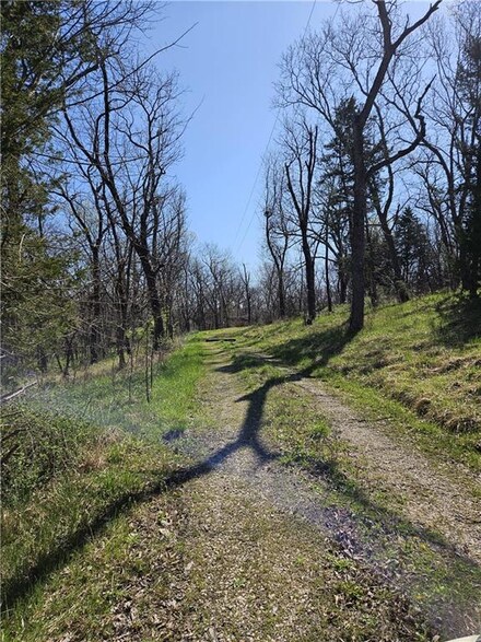 219 SW 1451st Rd, Holden, MO 64040