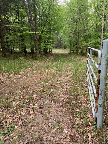 4175 S Beech Ave, Newaygo, MI 49337