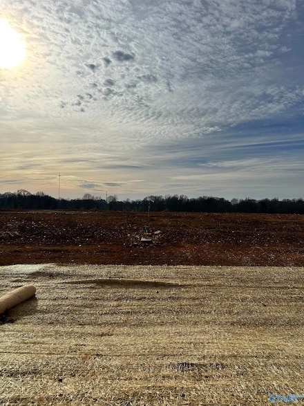 Lot 8 Bear Bryant Dr, Athens, AL 35613