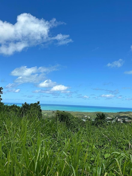 PR 984 Km 1.5 Int. Juanmartin Ward, Luquillo, PR 00773