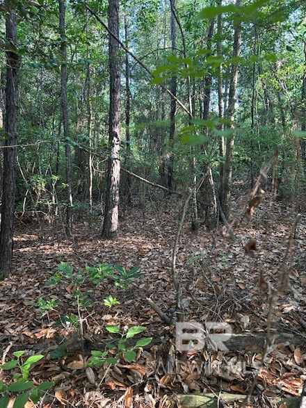 0 Old Highway 31 Unit 379839, Brewton, AL 36426