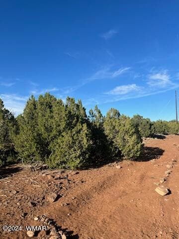 8766 Clark Rd, Show Low, AZ 85901