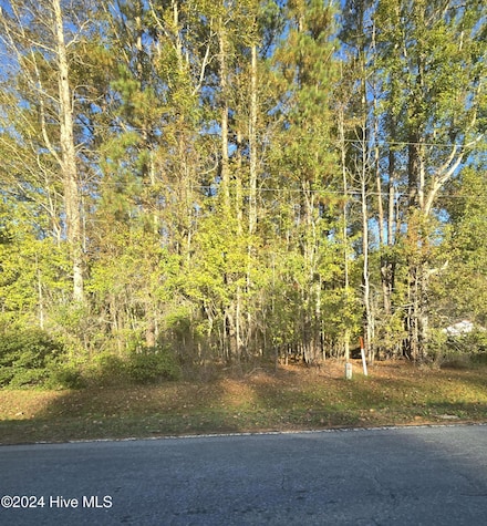 10 Hollis Dr, Blounts Creek, NC 27814