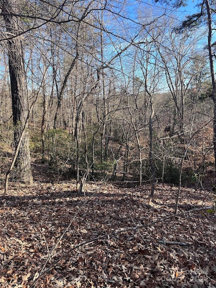 0 Sparrows Way Unit 68 CAR4128178, Lake Lure, NC 28746