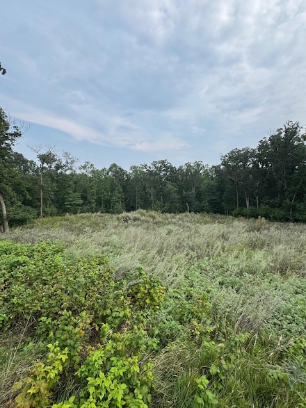 TBD N Fox Lake Ln, Detroit Lakes, MN 56501