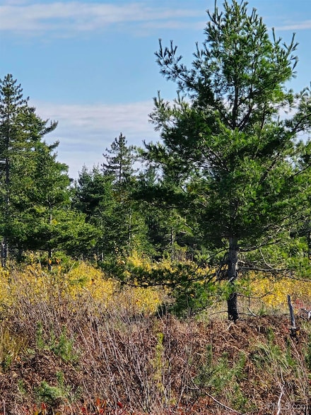 240 Acres County Road Aaa, Big Bay, MI 49808