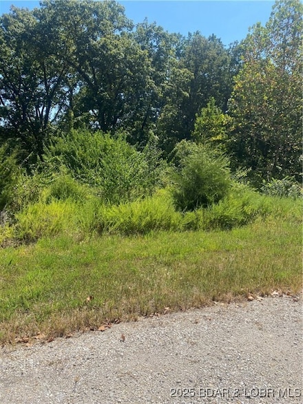 Lot 12 Witches Cove Blvd, Village of Four Seasons, MO 65049