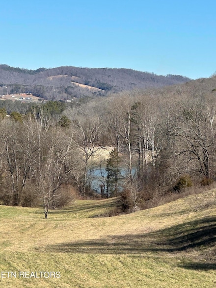 0 Bob Wright Rd Lot 41, Maynardville, TN 37807
