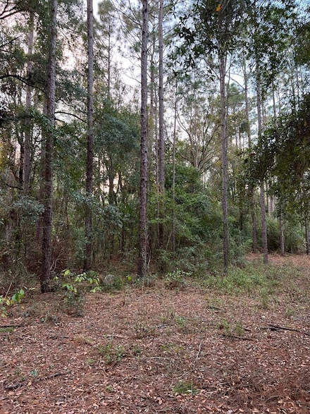 1 NW 15th Ave, Bell, FL 32619