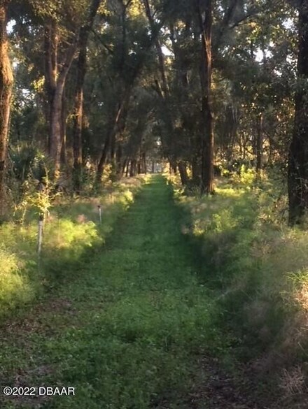 663 Joe Pittman Rd, Seville, FL 32190