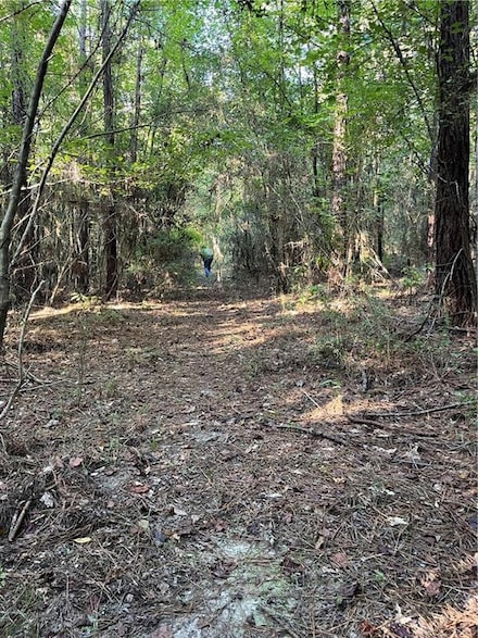 0 Aunt Margies Rd Unit 2524695, Greensburg, LA 70441