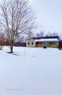 12698 S Peach Ave, Grant, MI 49327