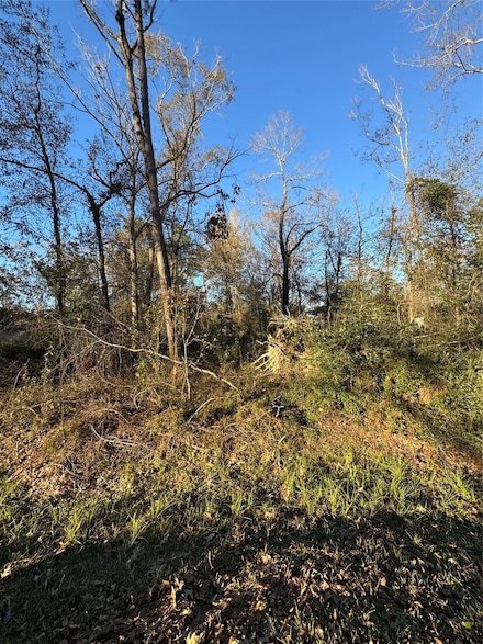 307 Magnolia Bend, Roman Forest, TX 77357