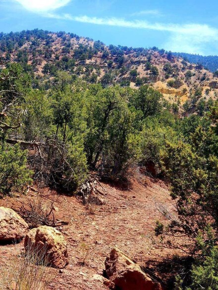 Lot C2 Indian Mesa Trail, Jemez Springs, NM 87025