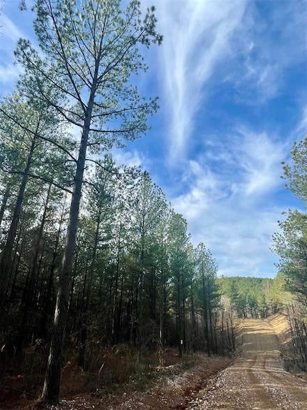 710 Timber Creek Trails South Xl, Broken Bow, OK 74728