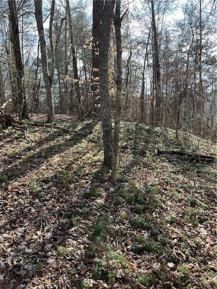 999B Sams Dr, Mars Hill, NC 28754