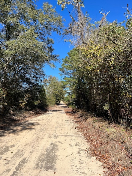 Bhl 2 Boise Cascade Rd, Bethune, SC 29009