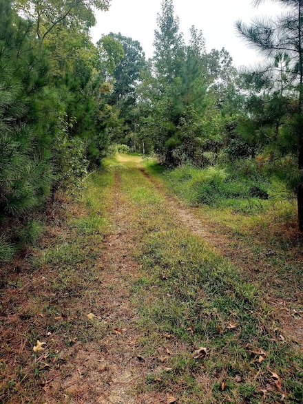 1313 Olive Branch Rd, Durham, NC 27703