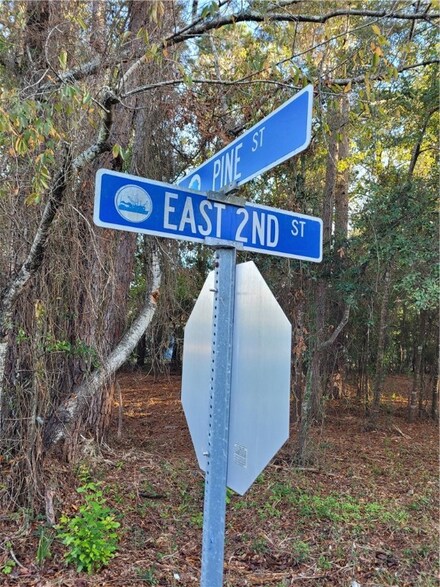 Vacant Lot Pine St, Darien, GA 31305