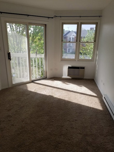 1345 Cunat Ct Unit 3A, Lake In the Hills, IL 60156