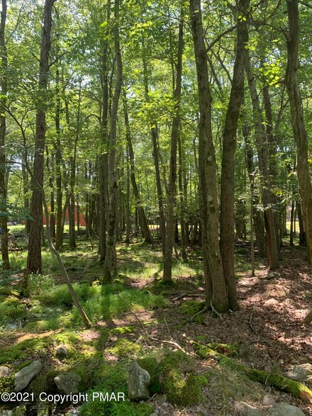12 Red Oak Rd, Lake Harmony, PA 18624