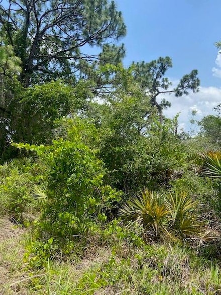 258 Vireo Ave, Other City - In the State of Florida, FL 33870