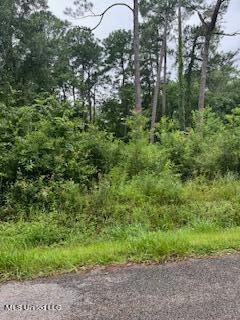 0 Willow St, Ocean Springs, MS 39564