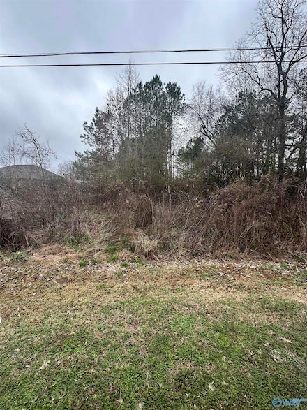 Tract 1 Mckee Rd, Harvest, AL 35749