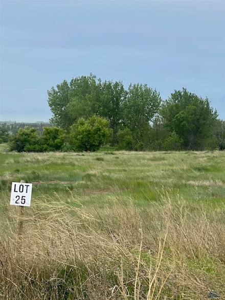 Lot 25 & 27 Hay Creek Rd, West Butte, SD 57717