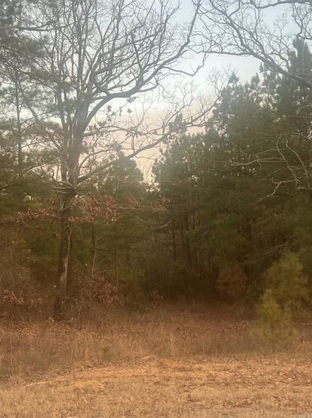 TBD Arkansas 128, Bismarck, AR 71929