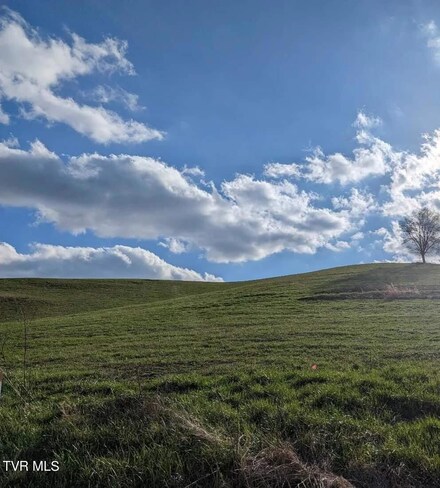 159 Tom Lewis Rd, Limestone, TN 37681
