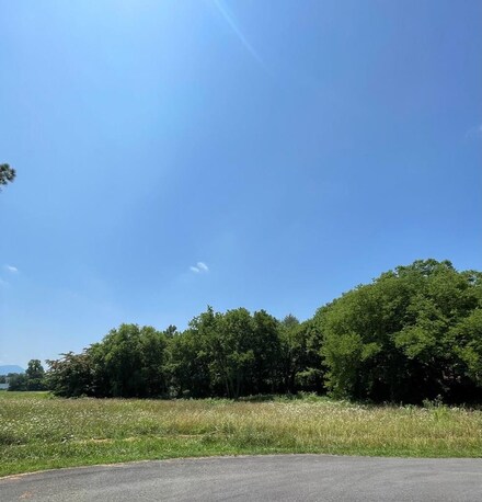 0 Brookfields Ln Unit RTC2743791, Chatsworth, GA 30705