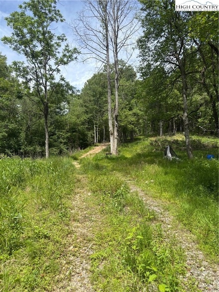 TBD Roundhill Church Rd, Traphill, NC 28685