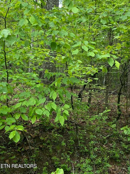 614 Catawba Ln, Crossville, TN 38572