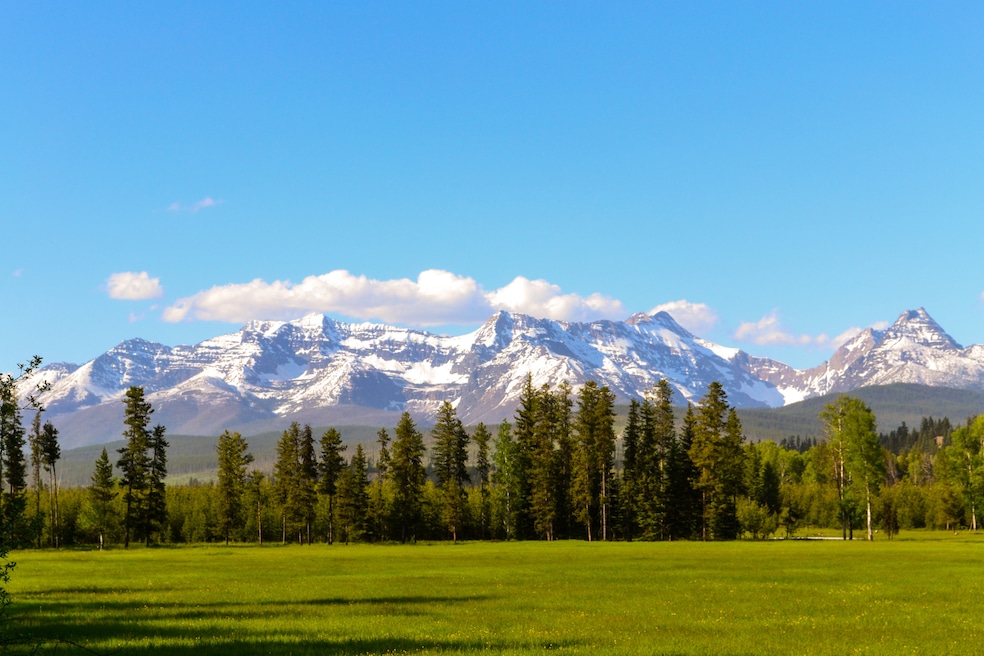 Before buying, a prospective buyer can ask the local government planning or community development office that regulates construction to confirm what can be built on the land. (Getty Images)