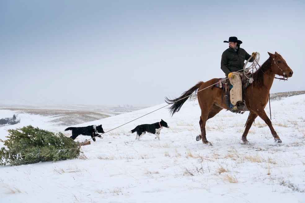 Just another day on a tree farm. (Getty Images)